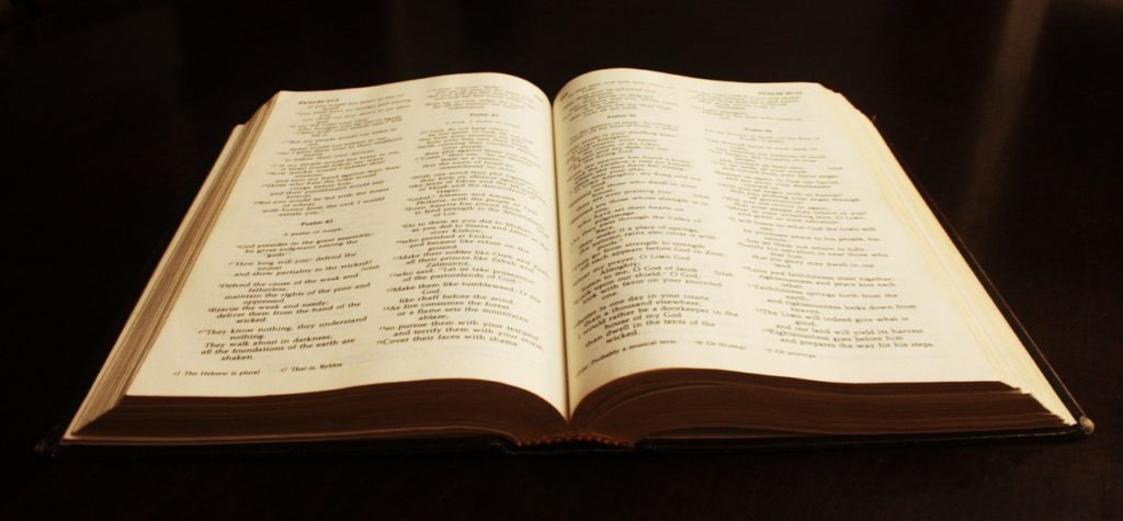 How to Delight in the Flawless Word of God | God Wrote The Book