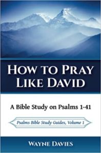 How To Pray Like David: A Bible Study on Psalms 1-41