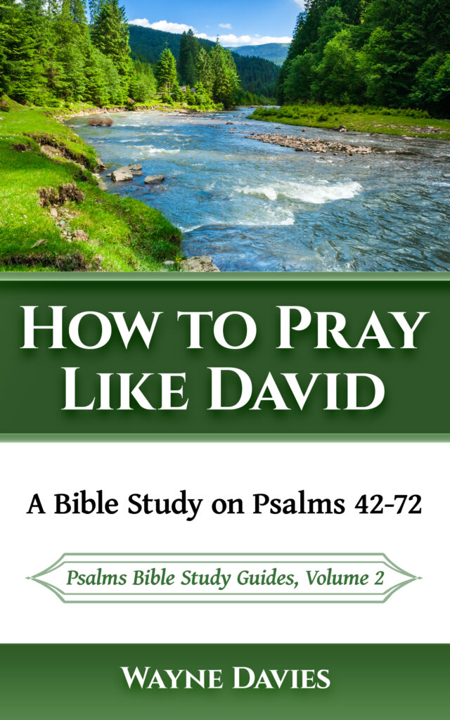 31 Reasons To Study The Psalms | God Wrote The Book